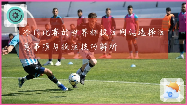 冷门比赛的世界杯投注网站选择注意事项与投注技巧解析